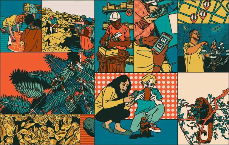 Participar, coletar, descobrir: o crescimento da ciência cidadã no Brasil