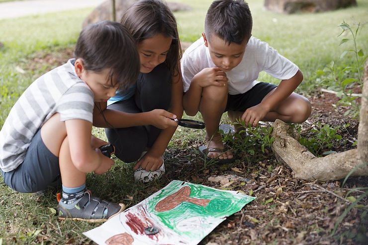 Aprendizado fora da sala de aula amplia formas de construção do conhecimento