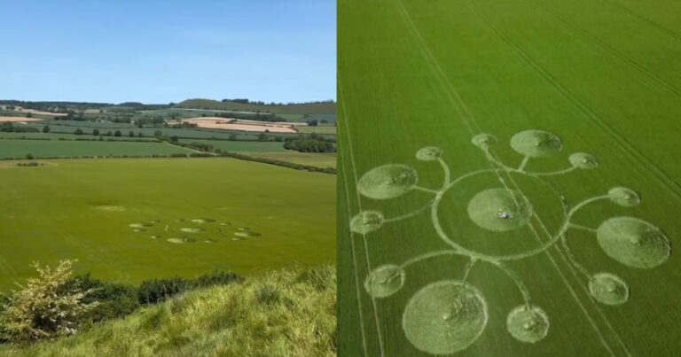 Brasileira registra estranho redemoinho ao lado de Crop Circle na Inglaterra