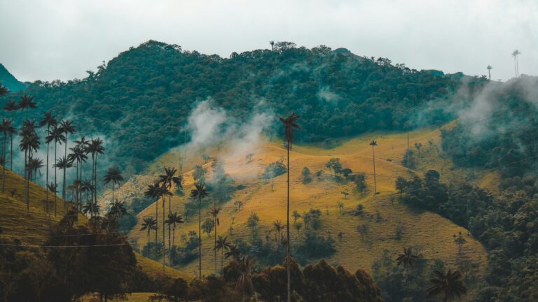 DNA raro encontrado na Colômbia revela civilização desconhecida e pode reescrever a história das Américas