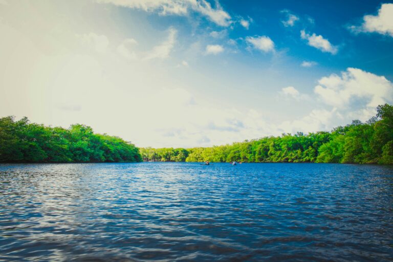 Dakila Pesquisas anuncia nova piscicultura sustentável em Corguinho. Projeto liderado por Urandir Fernandes aposta em tecnologia e produção saudável de peixes.