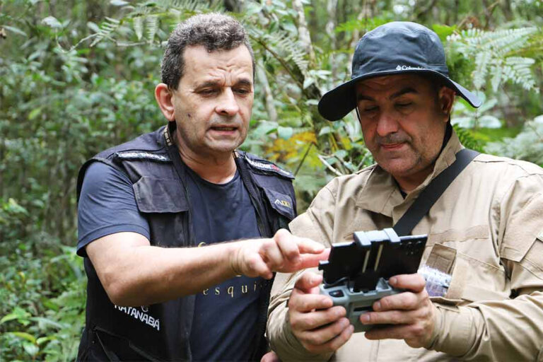 Conheça a importância do Caminho do Peabiru para a Dakila Pesquisas