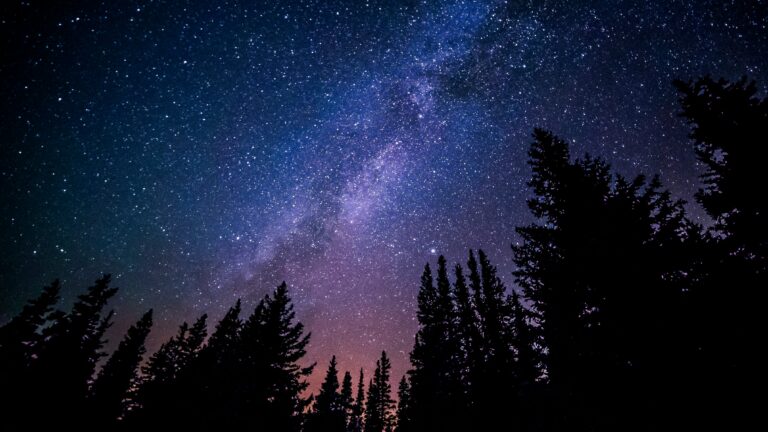 Você já sentiu uma conexão especial ao olhar para o céu estrelado? Esse fascínio tem nome: astrofilia.